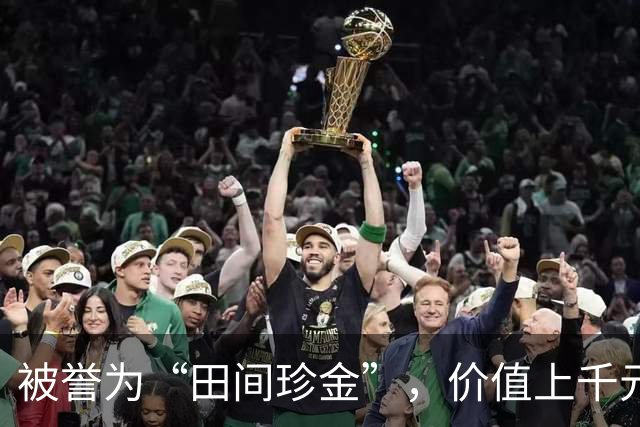 被誉为“田间珍金”，价值上千元的独脚金竟曾被视为杂草